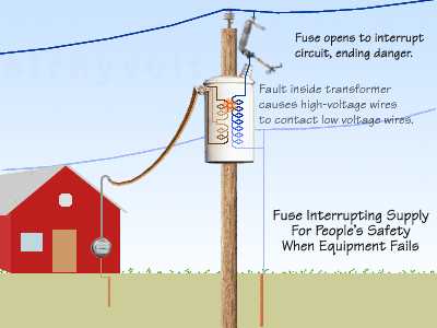 Transformer fault cleared by the operation of the fuse.