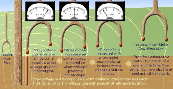 Stray voltage depends on strength of voltage gradient at the measurement location.