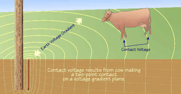 Stray voltage depends on strength of voltage gradient at the measurement location.